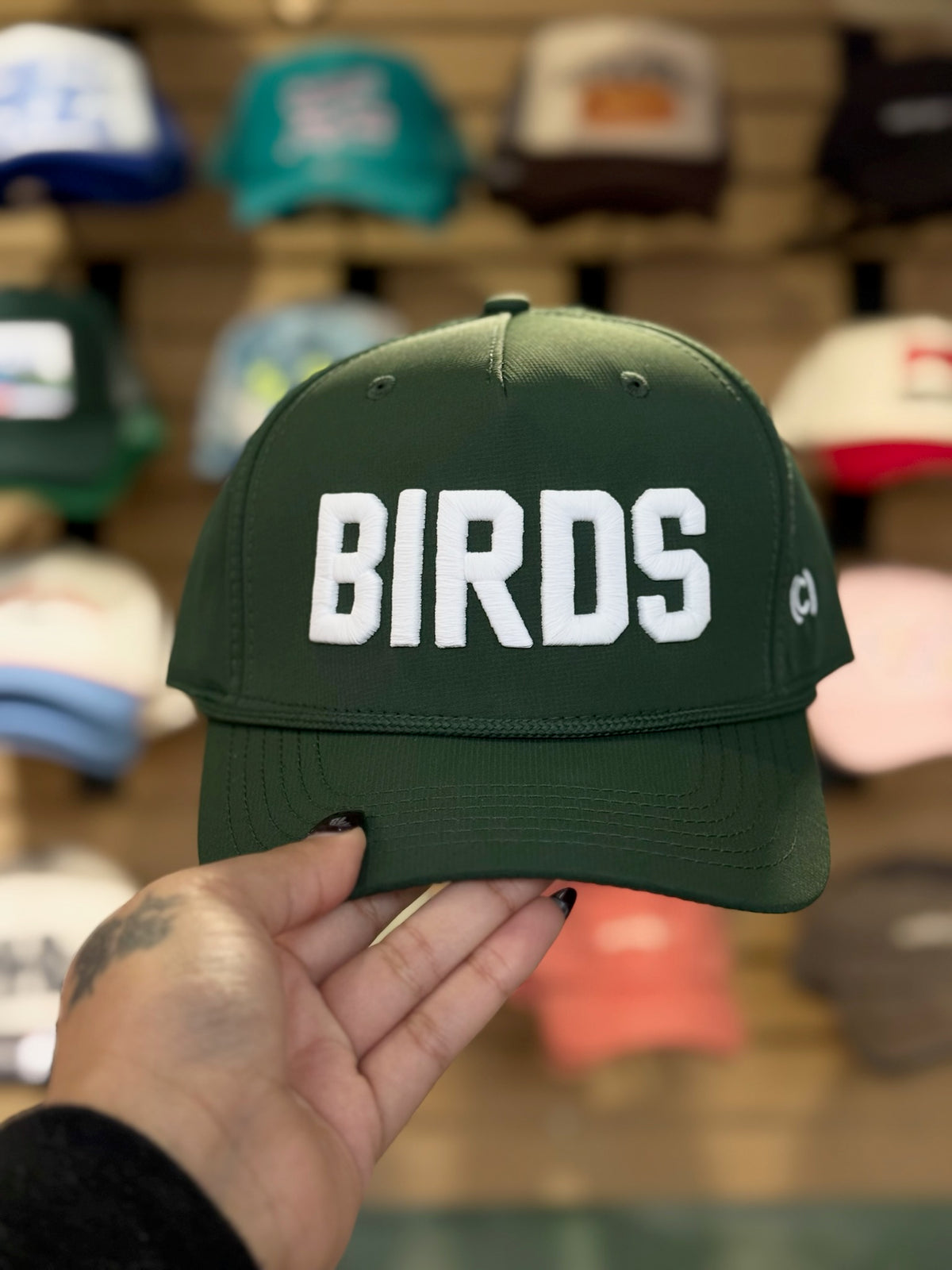Bold Embroidered Birds Hat