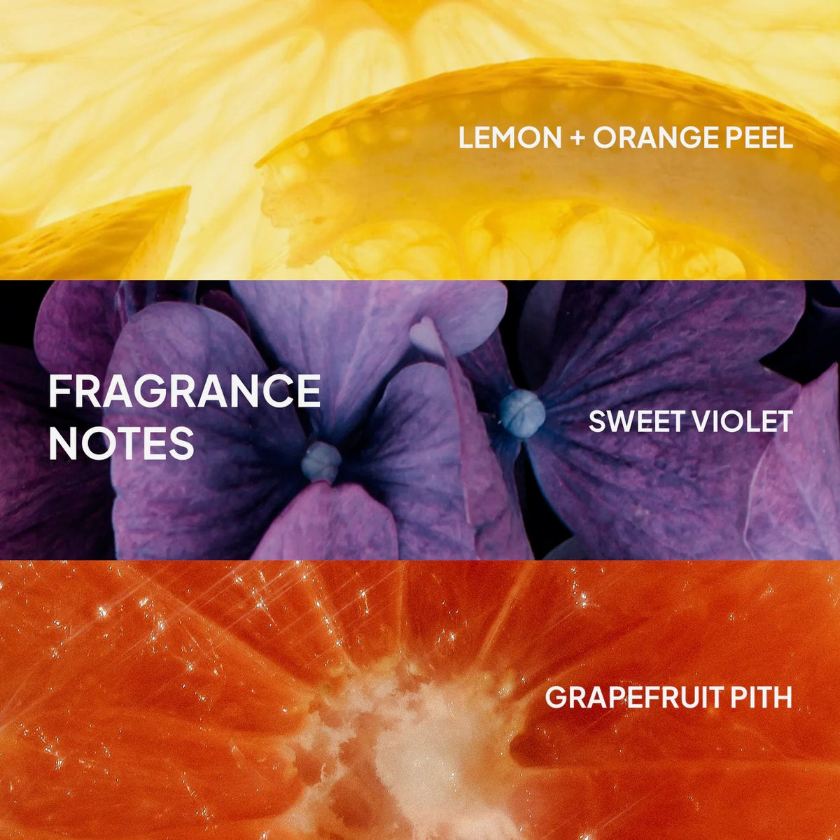 Verb Curl Shampoo & Conditioner