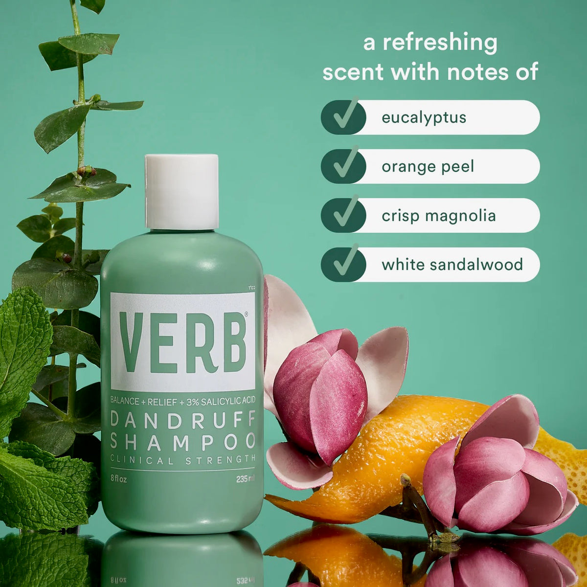 Verb Dandruff Shampoo