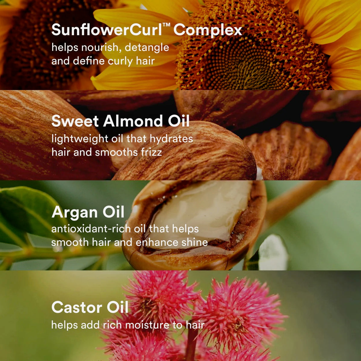 Verb Curl Oil